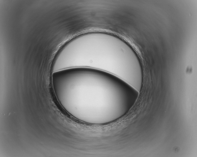 X0000096390015200801241127