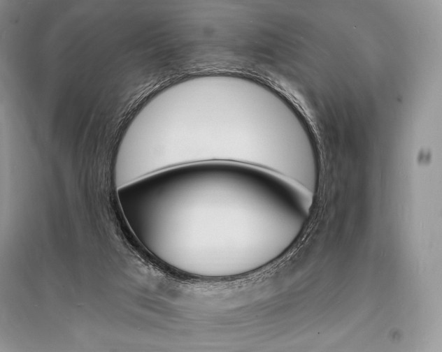 X0000096390017200801241127