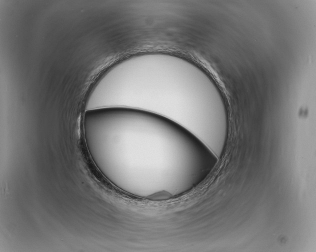 X0000096390019200801241127