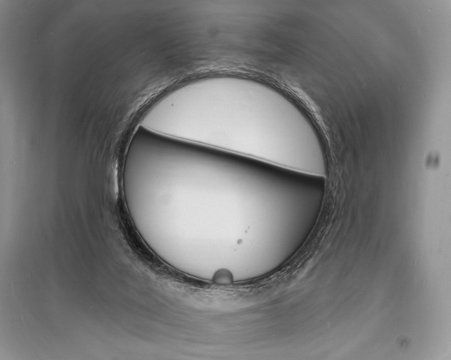 X0000096390020200801241127