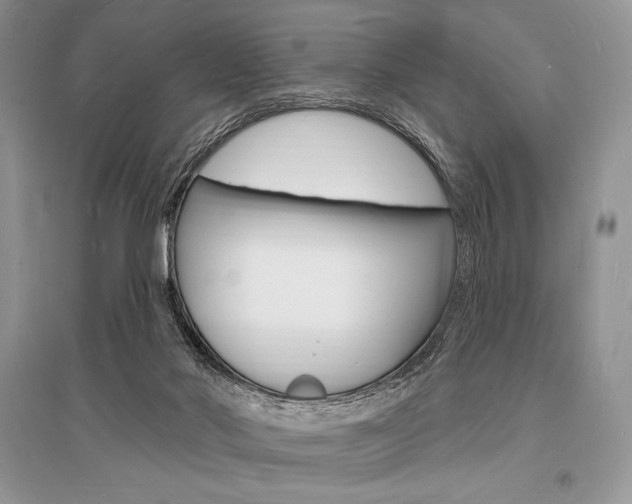X0000096390022200801241127