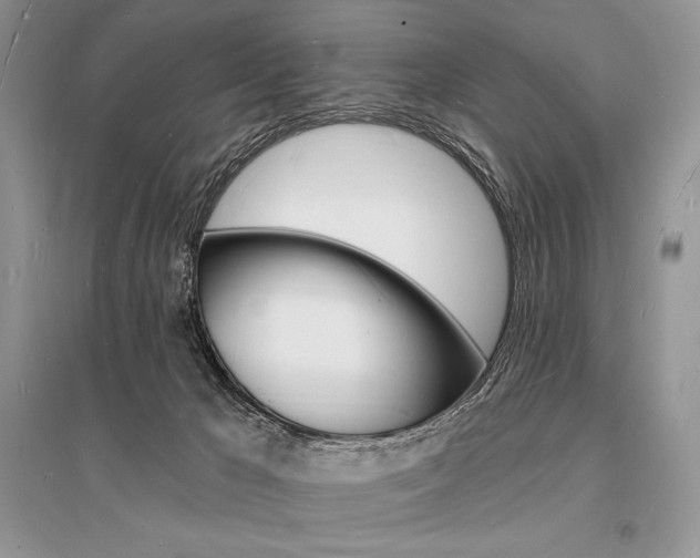 X0000096390029200801241127