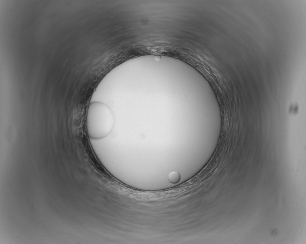 X0000096390030200801241127