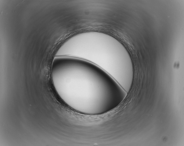 X0000096390031200801241127
