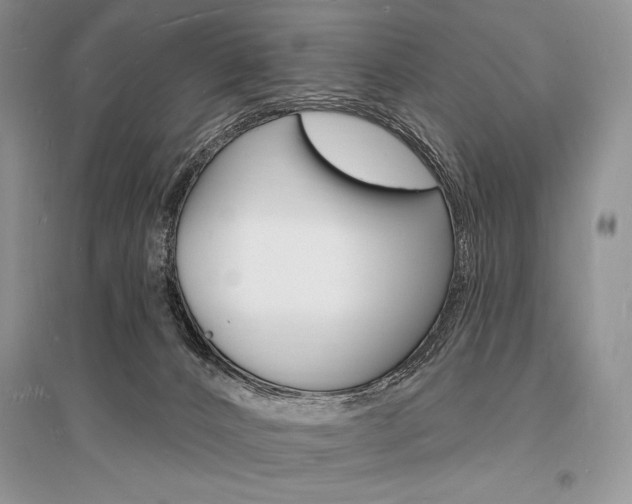 X0000096390032200801241127