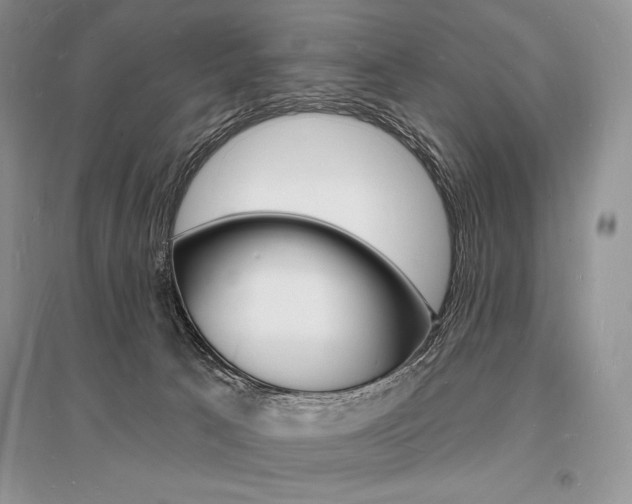 X0000096390033200801241127