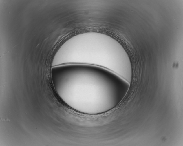 X0000096390035200801241127