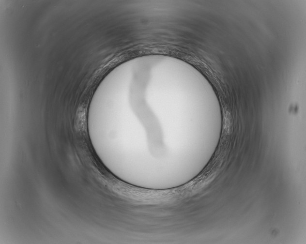 X0000096390036200801241127