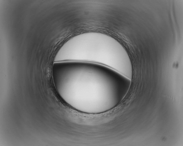 X0000096390039200801241127