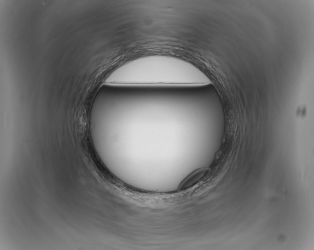 X0000096390040200801241127