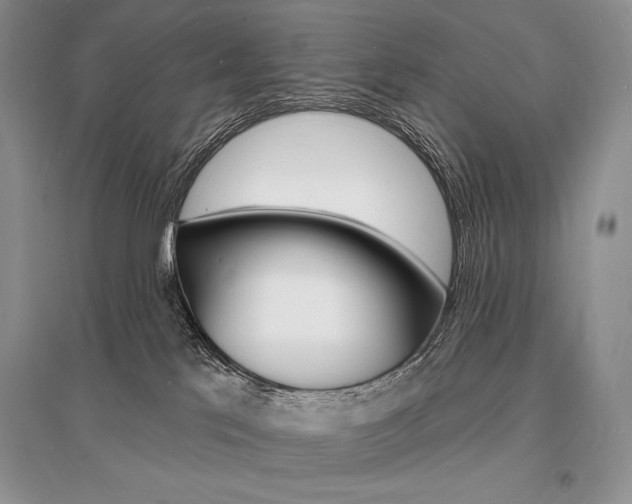 X0000096390041200801241127
