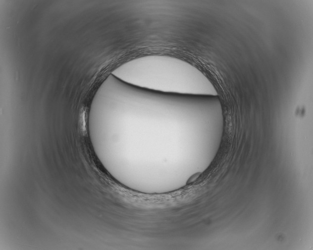 X0000096390042200801241127