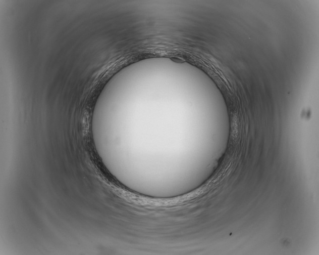 X0000096390043200801241127