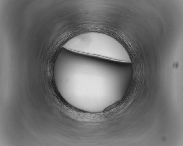 X0000096390044200801241127