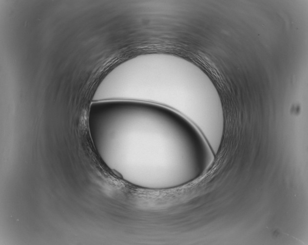 X0000096390045200801241127