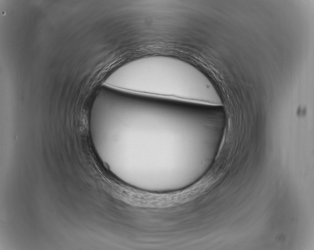 X0000096390048200801241127