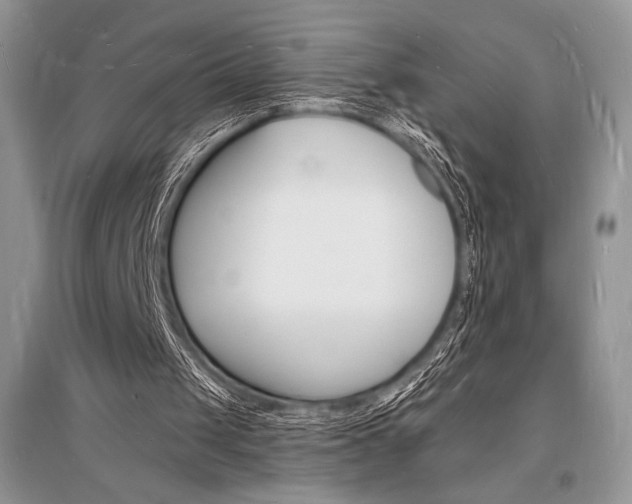 X0000096390049200801241126