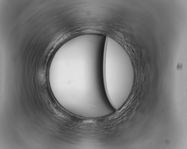X0000096390050200801241126