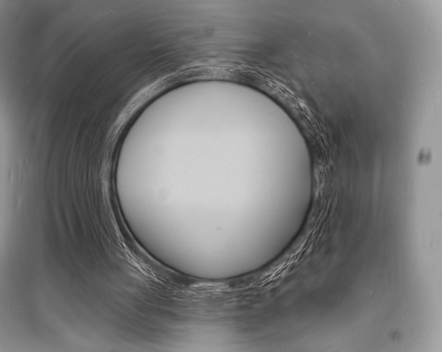 X0000096390051200801241126