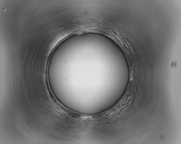 X0000096390052200801241126