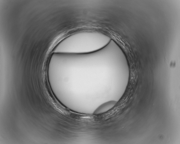X0000096390053200801241126