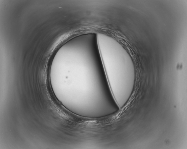 X0000096390054200801241126