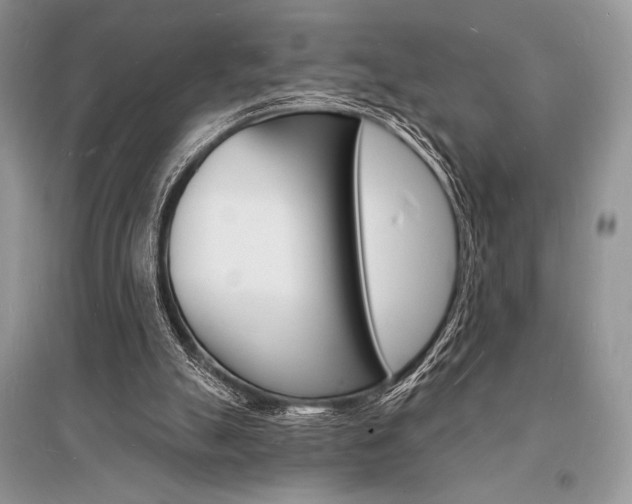 X0000096390055200801241126