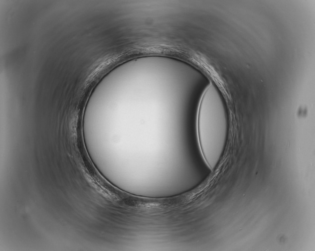 X0000096390058200801241126