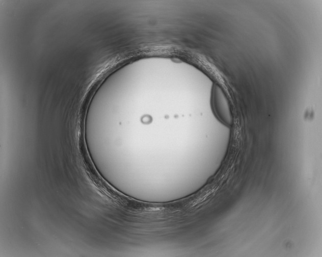 X0000096390059200801241126
