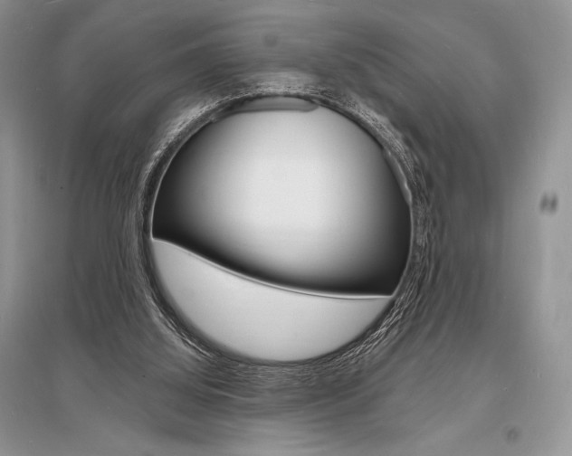 X0000096390060200801241126