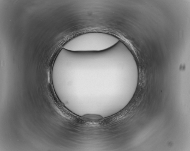 X0000096390061200801241126