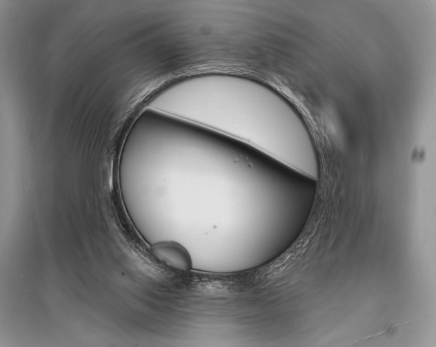 X0000096390062200801241126