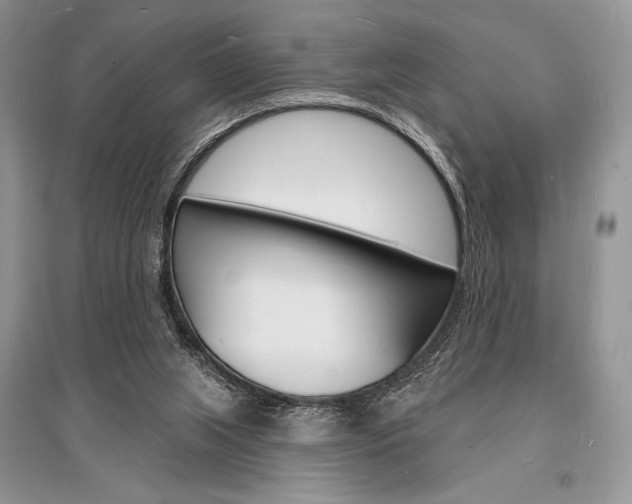 X0000096390063200801241126
