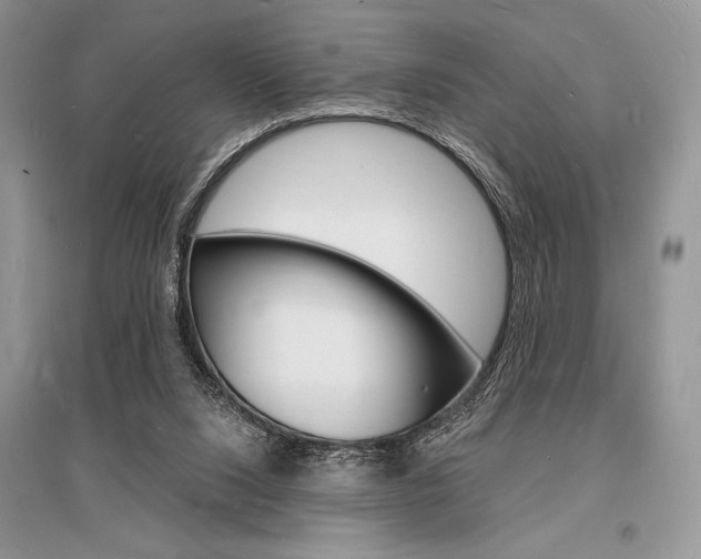 X0000096390064200801241126