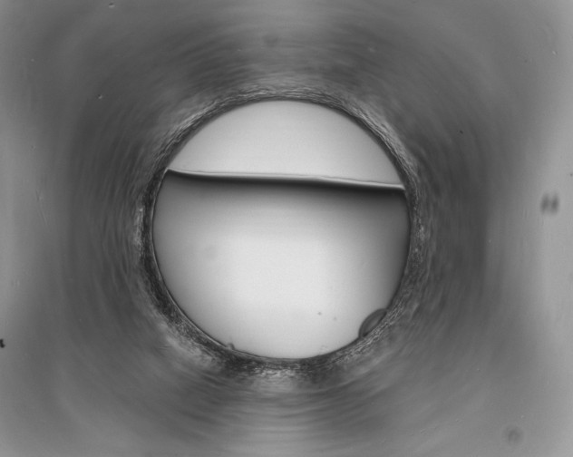 X0000096390066200801241126