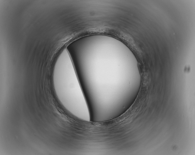 X0000096390068200801241126