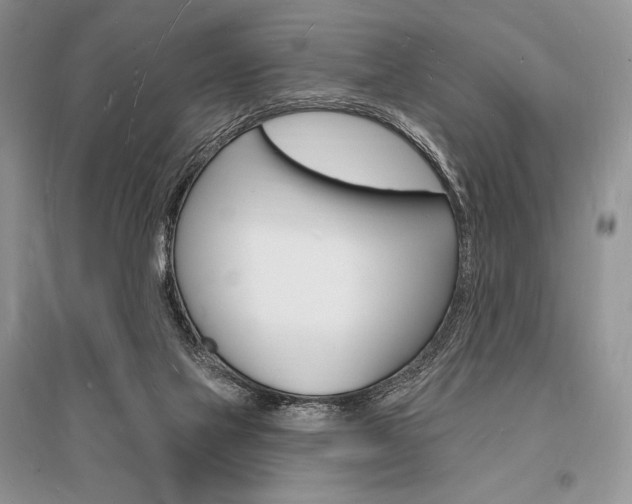X0000096390069200801241126