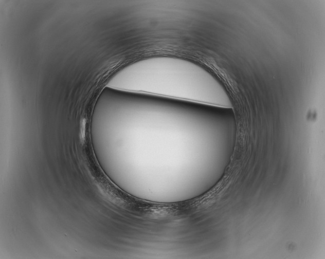 X0000096390070200801241126