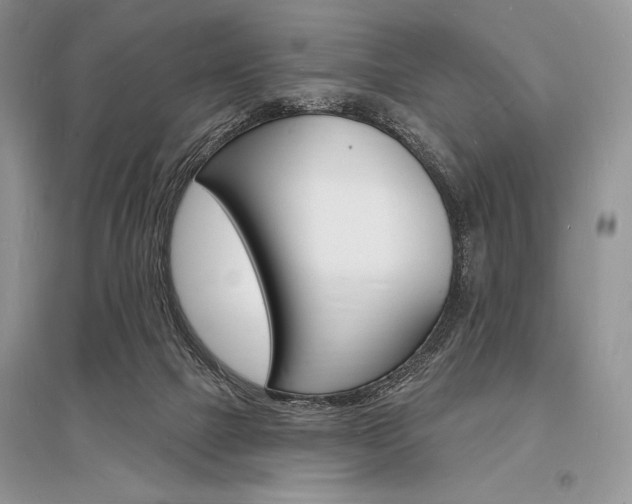 X0000096390073200801241126