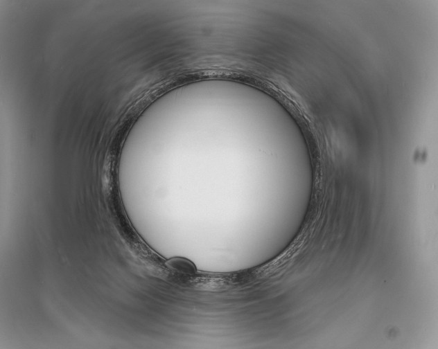 X0000096390074200801241126