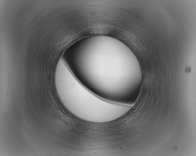 X0000096390076200801241126