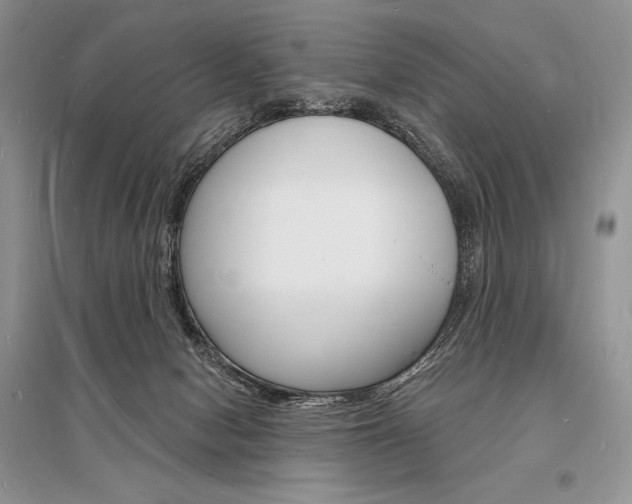 X0000096390078200801241126