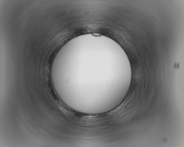 X0000096390082200801241126