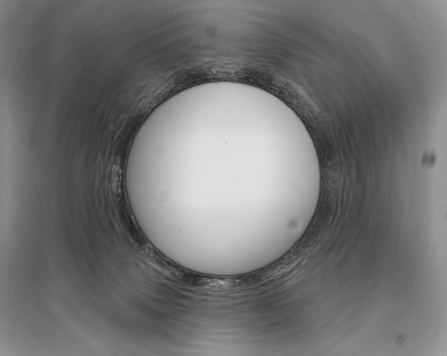 X0000096390083200801241126