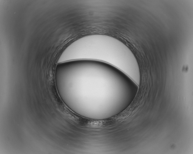 X0000096390084200801241126