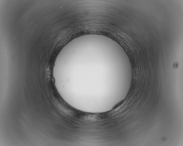 X0000096390086200801241126