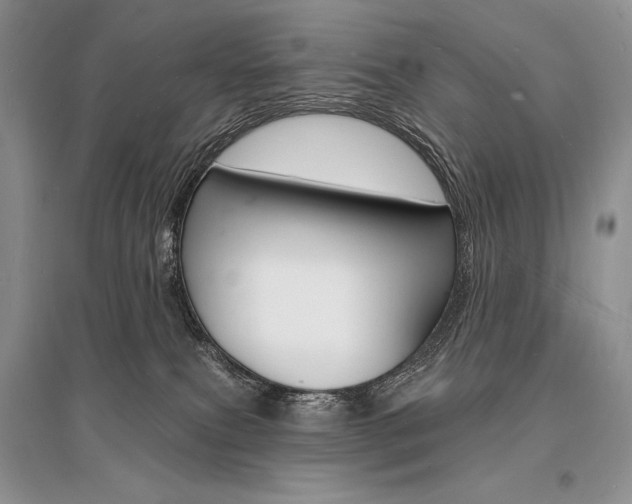 X0000096390087200801241126