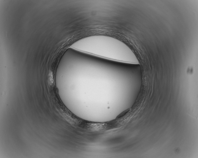 X0000096390089200801241126