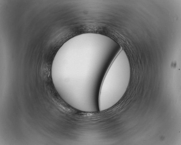 X0000096390091200801241126