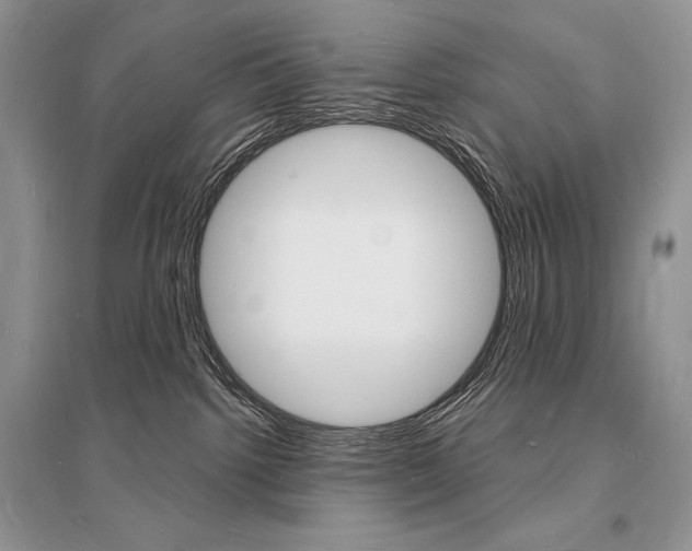 X0000096390092200801241126